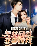 相亲走错门,美女总裁非要嫁我