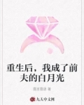 重生后，我成了前夫的白月光
