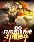 王者怎么回事