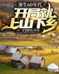 重生60年代,开局就上山下乡叶昊