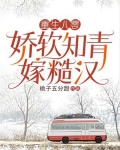 重生八零年代知青妻