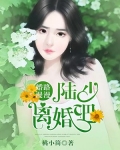 婚路漫漫:陆少离婚吧!