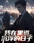 我在黑道沉浮的日子