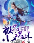 极品小神仙