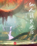 仙人消失之后无防盗