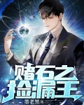 赌石之捡漏王小说全文阅读