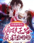 穿越新婚夜,偏执王爷疯狂求亲亲的小说