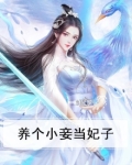 养个小妾当妃子免费阅读