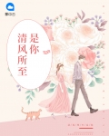 windy smiling清风至