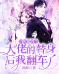 同时做四个大佬的替身后我翻车了