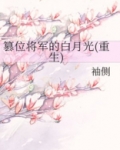 篡位将军的白月光男主有几个女人