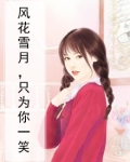 只求风花雪月