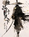 《独孤天下》