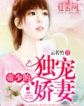 帝少的独宠娇妻