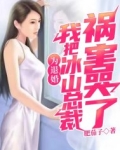 霸道总裁误会灰姑娘