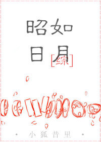 综昭如日月 免费阅读