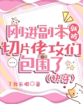 刚进副本就被切片佬攻们包围了（快穿）