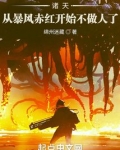 诸天:从暴风赤红开始不做人了