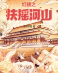 红楼之扶摇河山最新章节