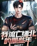 流在缅北的血完整版