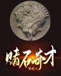 赌石奇才全文免费阅读无弹窗