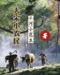 大宋农民起义小说