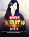 校花的近身武神 夜星魂