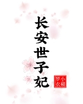 长安世子妃小说