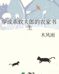 穿成乖软夫郎的农家书生百度网盘