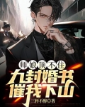 师娘顶不住,九封婚书催我下山