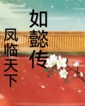如懿传之凤凰