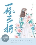 一折和三折的区别