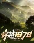 我在78年投机倒把
