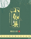 小知县全文免费阅读