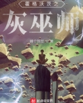 霍格沃茨之灰巫师