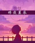 昨夜星辰似你电视剧
