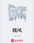 魏风