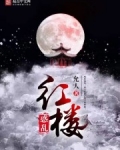 悦览红楼