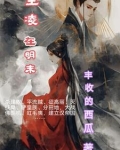 王凌的故事