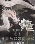红楼开局加载蹦０灞嗜じ