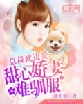 steam个人设置