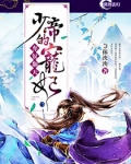 弃奴翻天:少帝的宠妃