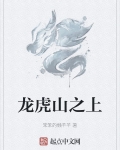 龙虎山之上TXT