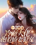 一胎二宝,冷血总裁契约妻免费阅读