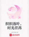 落叶翩翩时光荏苒什么歌