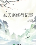 玄天宗修行记事TXT下载