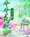凌小小成为太子妃了吗