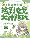 女主播和菜鸟玩游戏