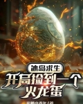 主角在冰岛开农场的小说