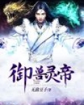御兽灵帝 小说